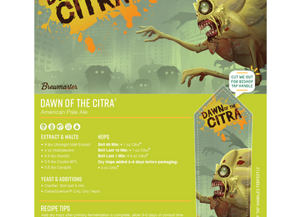 Dawn of the Citra® American Pale Ale - Extract Beer Brewing Kit
